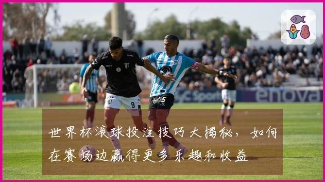 世界杯滚球投注技巧大揭秘，如何在赛场边赢得更多乐趣和收益