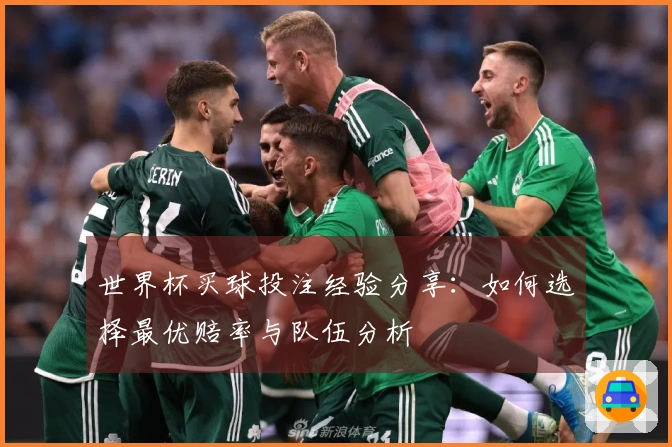 世界杯买球投注经验分享：如何选择最优赔率与队伍分析