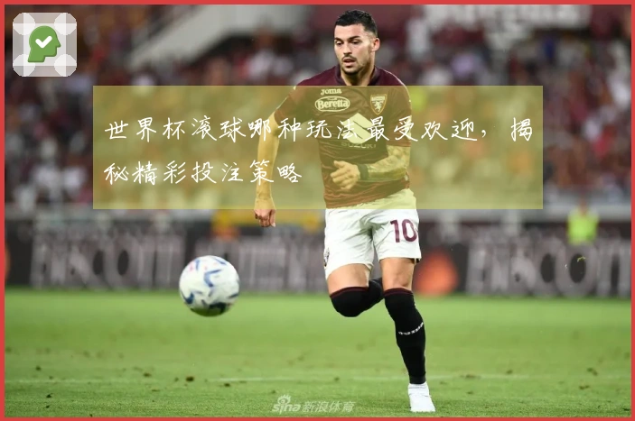世界杯滚球哪种玩法最受欢迎，揭秘精彩投注策略