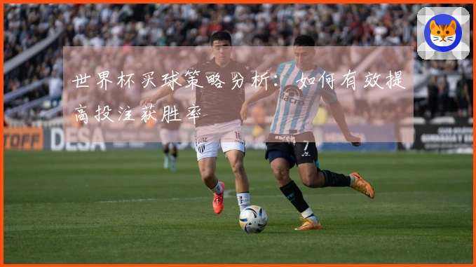 世界杯买球策略分析：如何有效提高投注获胜率