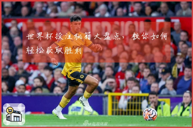 世界杯投注秘籍大盘点，教你如何轻松获取胜利