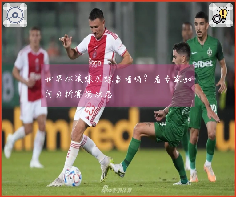 世界杯滚球买球靠谱吗？看专家如何分析赛场动态