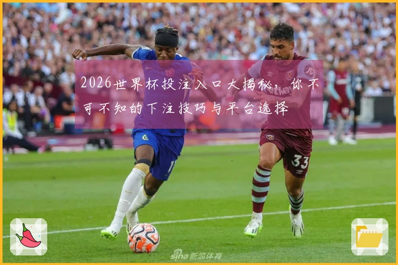 2026世界杯投注入口大揭秘，你不可不知的下注技巧与平台选择