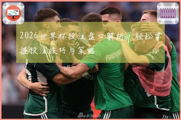 2026世界杯投注盘口解析，轻松掌握投注技巧与策略