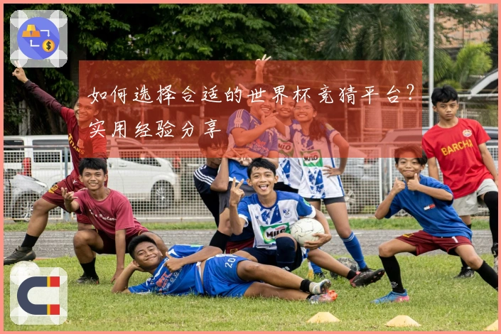 如何选择合适的世界杯竞猜平台？实用经验分享
