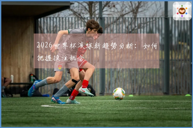 2026世界杯滚球新趋势分析：如何把握投注机会