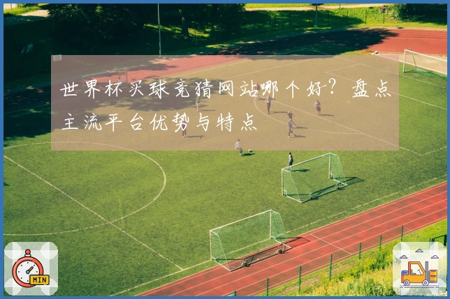 世界杯买球竞猜网站哪个好？盘点主流平台优势与特点