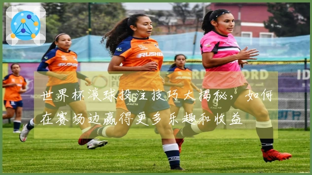 世界杯滚球投注技巧大揭秘，如何在赛场边赢得更多乐趣和收益