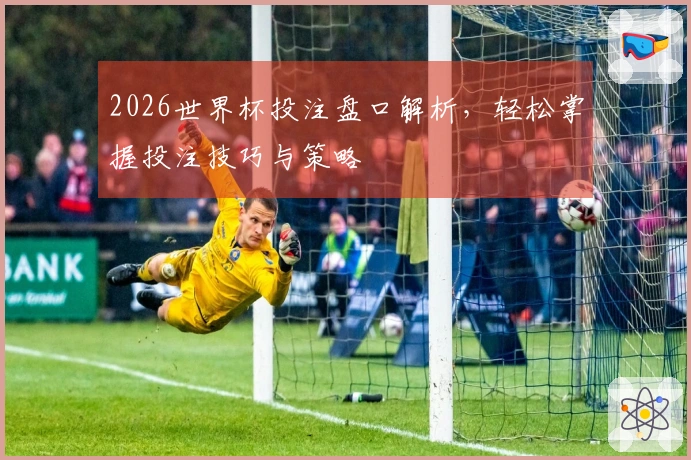 2026世界杯投注盘口解析，轻松掌握投注技巧与策略