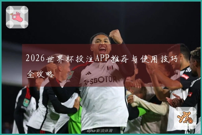 2026世界杯投注APP推荐与使用技巧全攻略