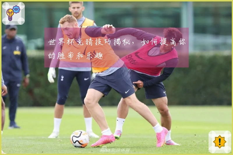 世界杯竞猜技巧揭秘，如何提高你的胜率和乐趣