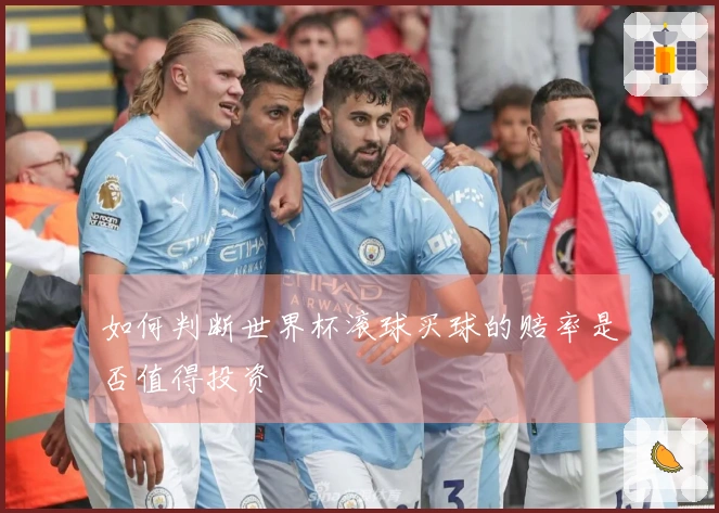 如何判断世界杯滚球买球的赔率是否值得投资