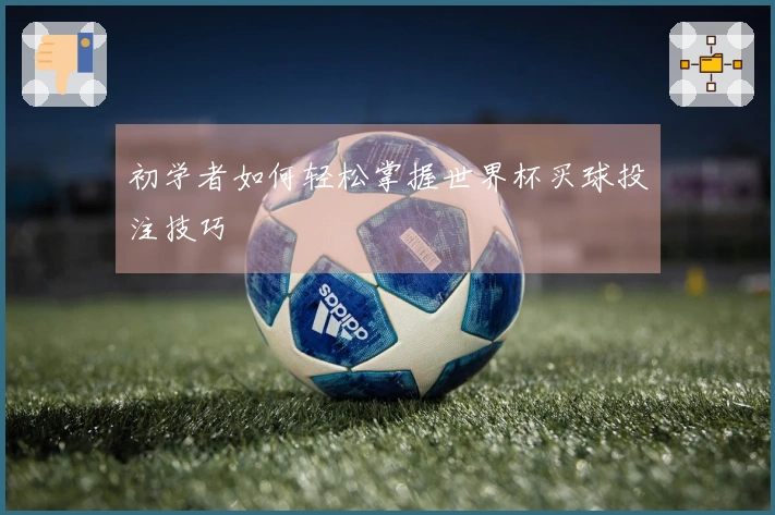 初学者如何轻松掌握世界杯买球投注技巧
