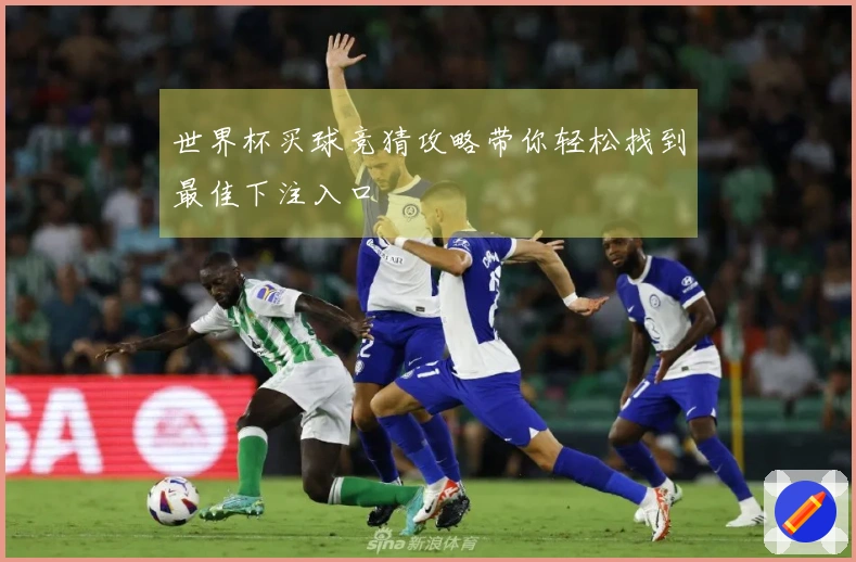 世界杯买球竞猜攻略带你轻松找到最佳下注入口