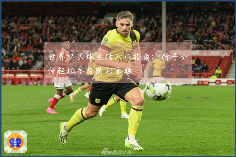 世界杯买球竞猜入门指南:新手如何轻松参与购彩乐趣