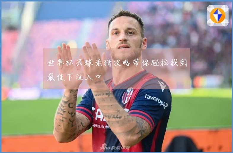 世界杯买球竞猜攻略带你轻松找到最佳下注入口